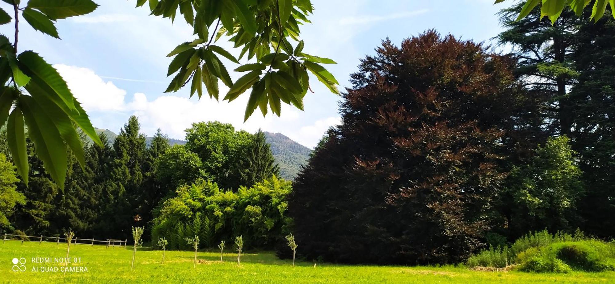 Casale Del Cantico Brenta エクステリア 写真