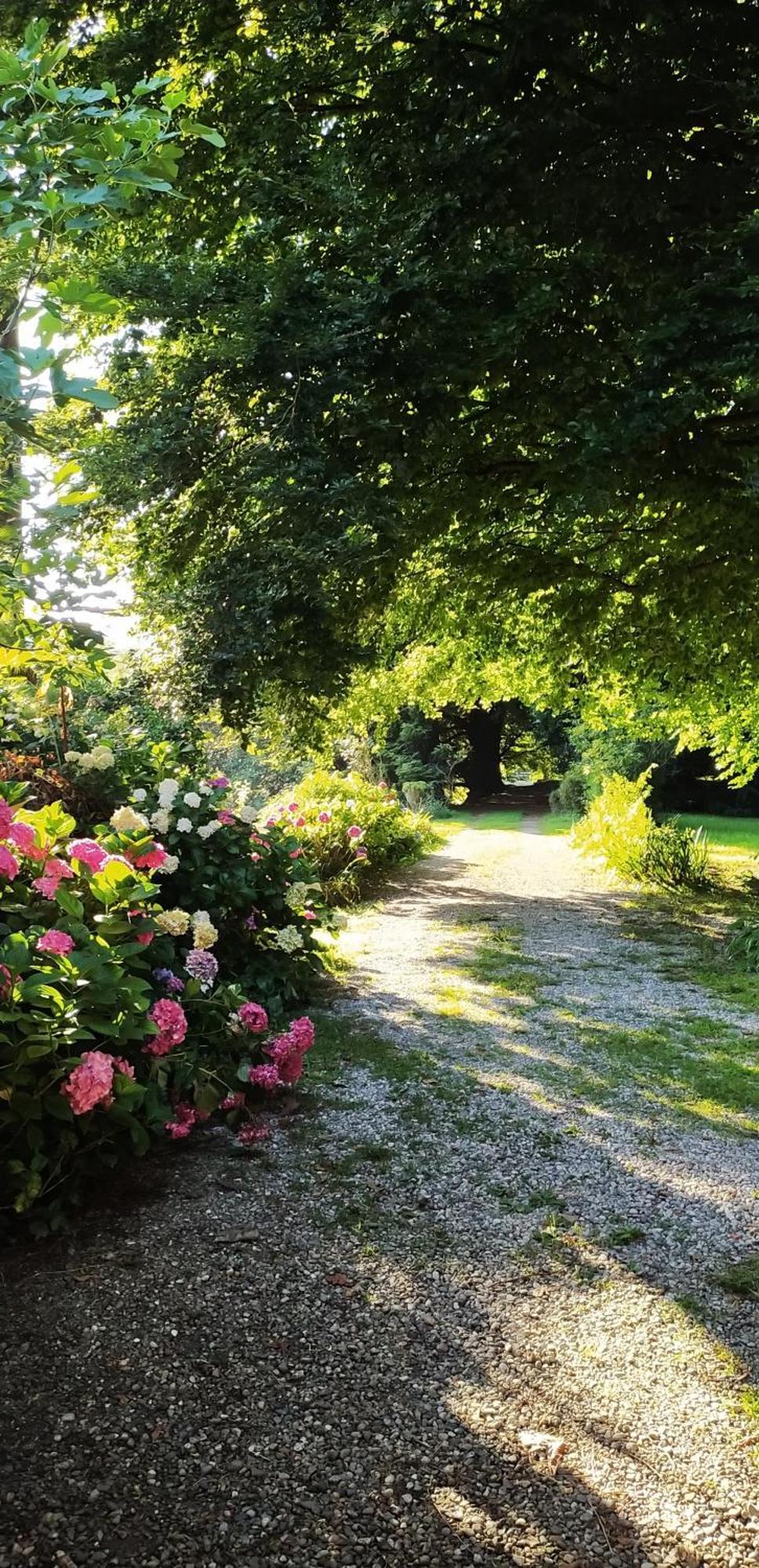 Casale Del Cantico Brenta エクステリア 写真